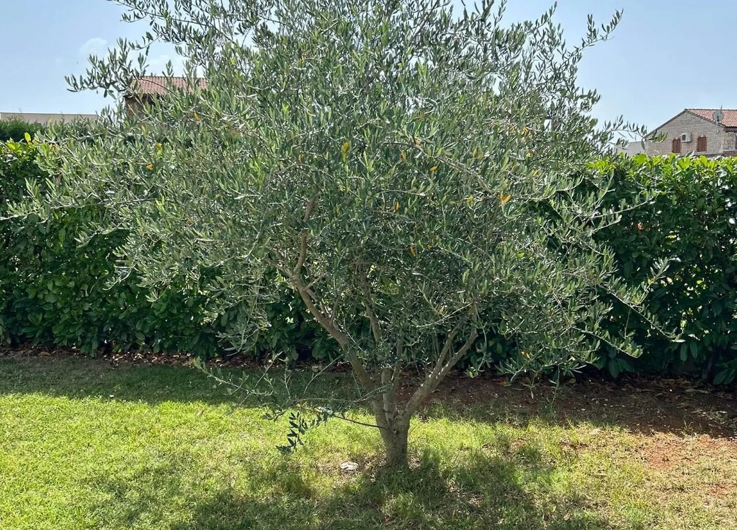 Istrian Villa Melany 보드냔
